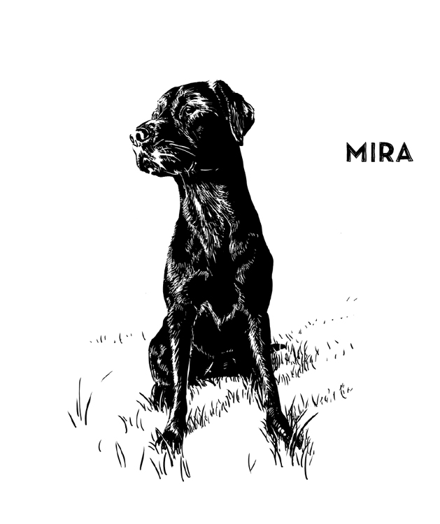 01-slide-Mira
